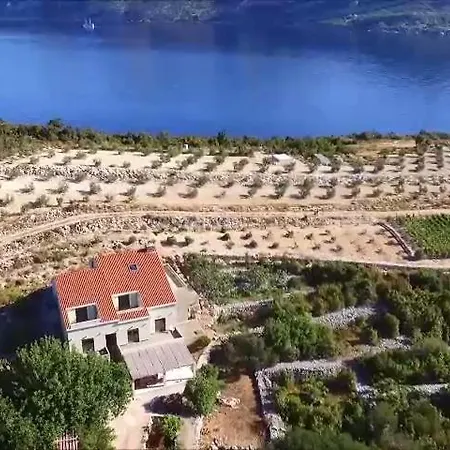 Kneze アパート *